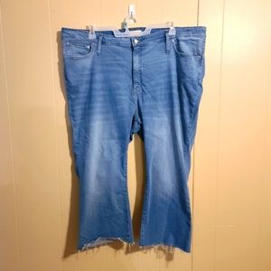 Madewell plus size jeans Cali demi-boot